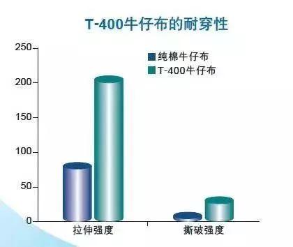 彈性纖維