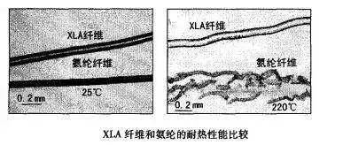 彈性纖維