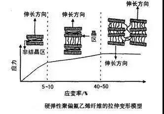 彈性纖維