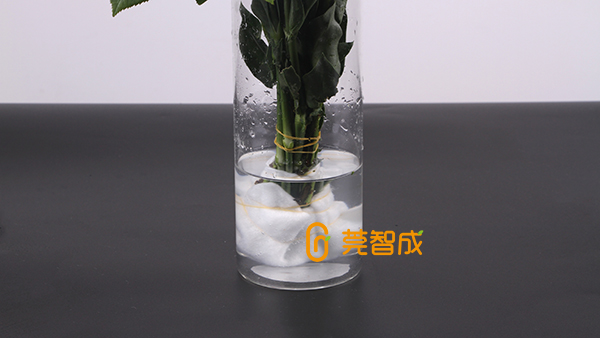 鮮花怎么保水？教你一個便捷招