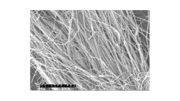 德科學家研制成功“拜羅伊特超級纖維”